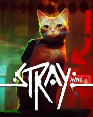 Stray