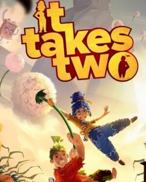 It takes two (Steam)