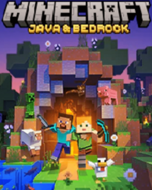 Minecraft: Java & Bedrock Edition