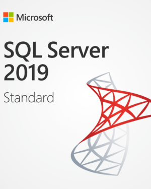 Microsoft SQL Server 2019 Standard