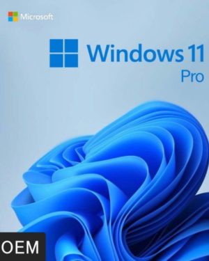 windows-11-pro-oem-key
